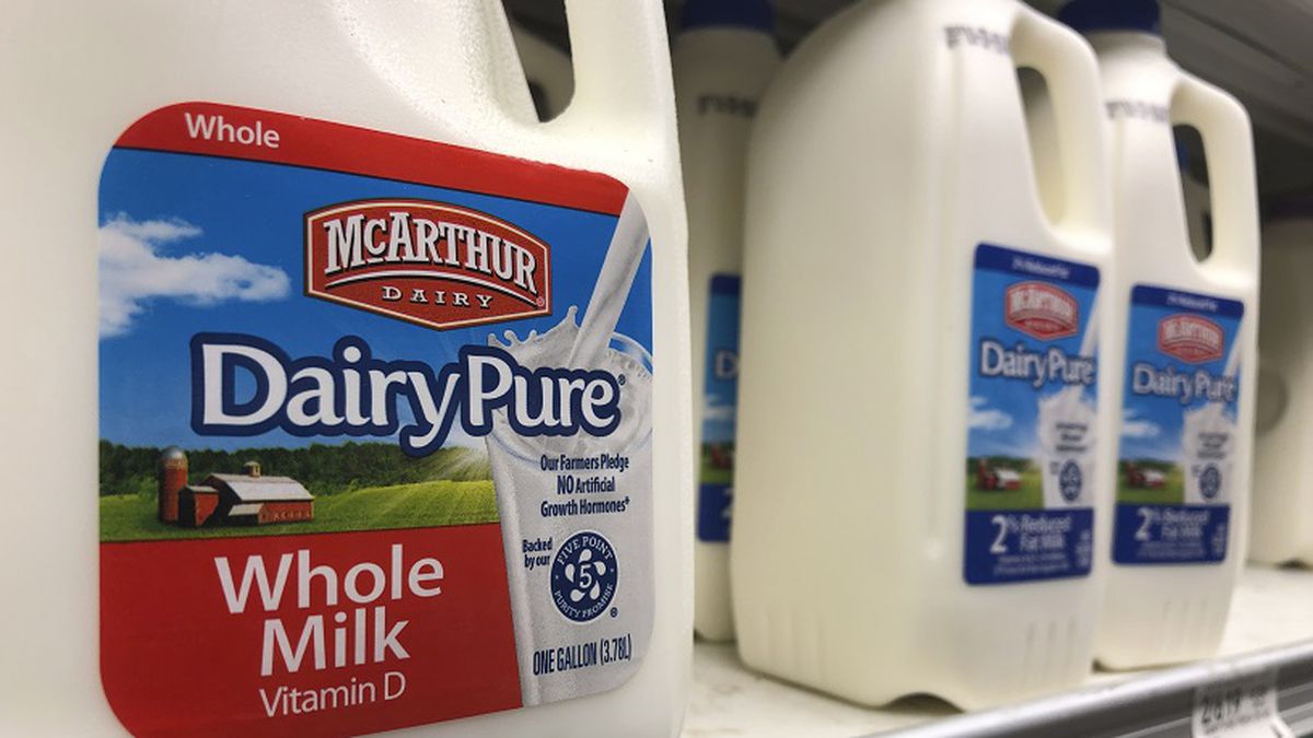 Jugs of McArthur Dairy milk, a Dean Foods brand, are shown at a grocery store, Tuesday, Nov. 12, 2019, in Surfside, Fla. Dean Foods, America's biggest milk processor, filed for bankruptcy Tuesday amid a steep, decades-long drop-off in U.S. milk consumption blamed on soda, juices and, more recently, nondairy substitutes. (AP Photo/Wilfredo Lee)