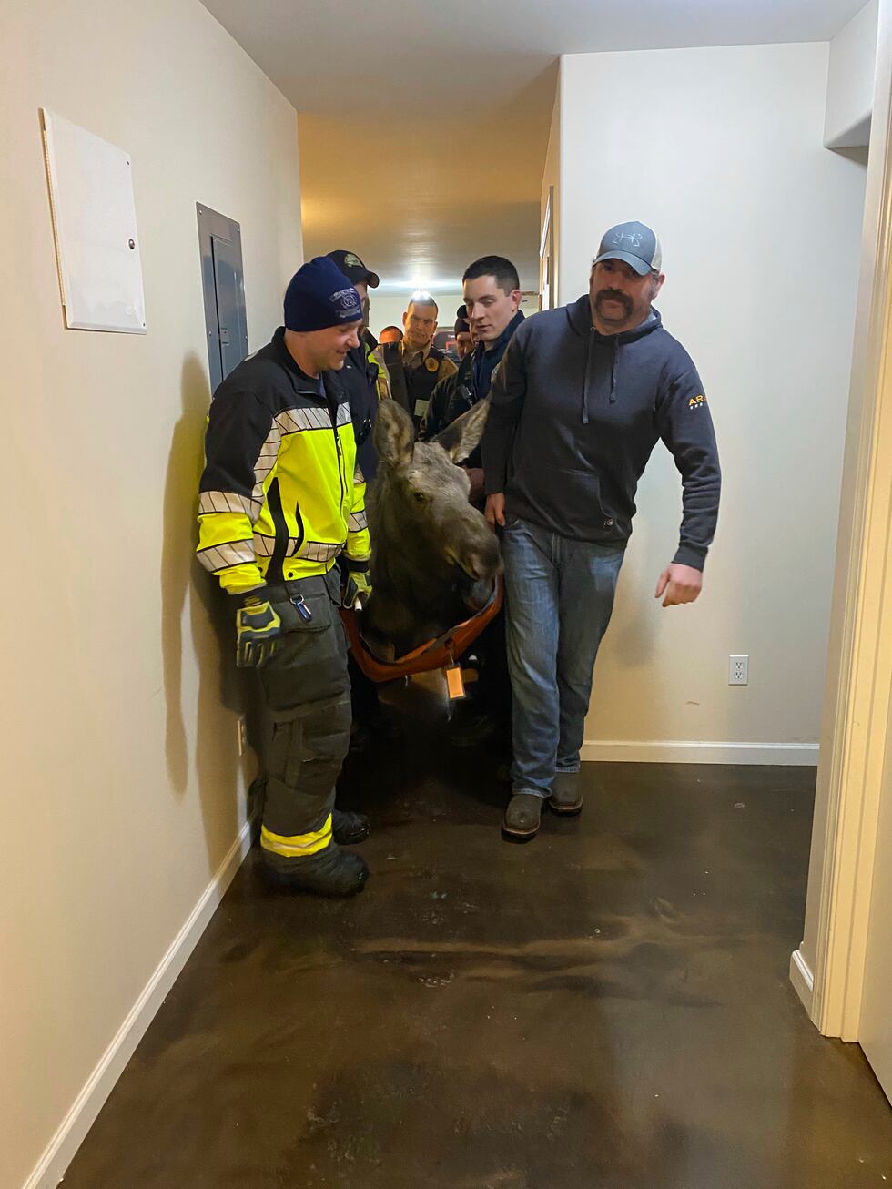 In this image provided by Central Emergency Services for the Kenai Peninsula Borough,...