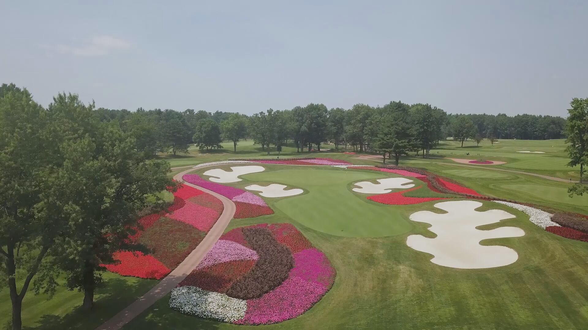 SentryWorld plants tens of thousands of flowers at world-famous 'Flower Hole' - Vimarsana News
