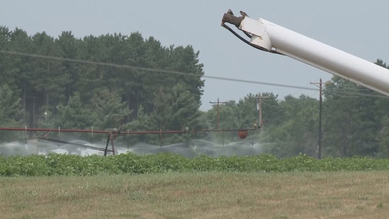 A view of one of the farms accused in the lawsuit from the backyard of a household with...