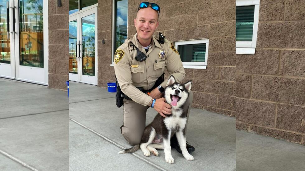 A Las Vegas officer visits the puppy he helped rescue from a hot car parked at an area casino.