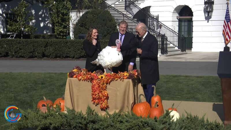 President Biden pardons a turkey