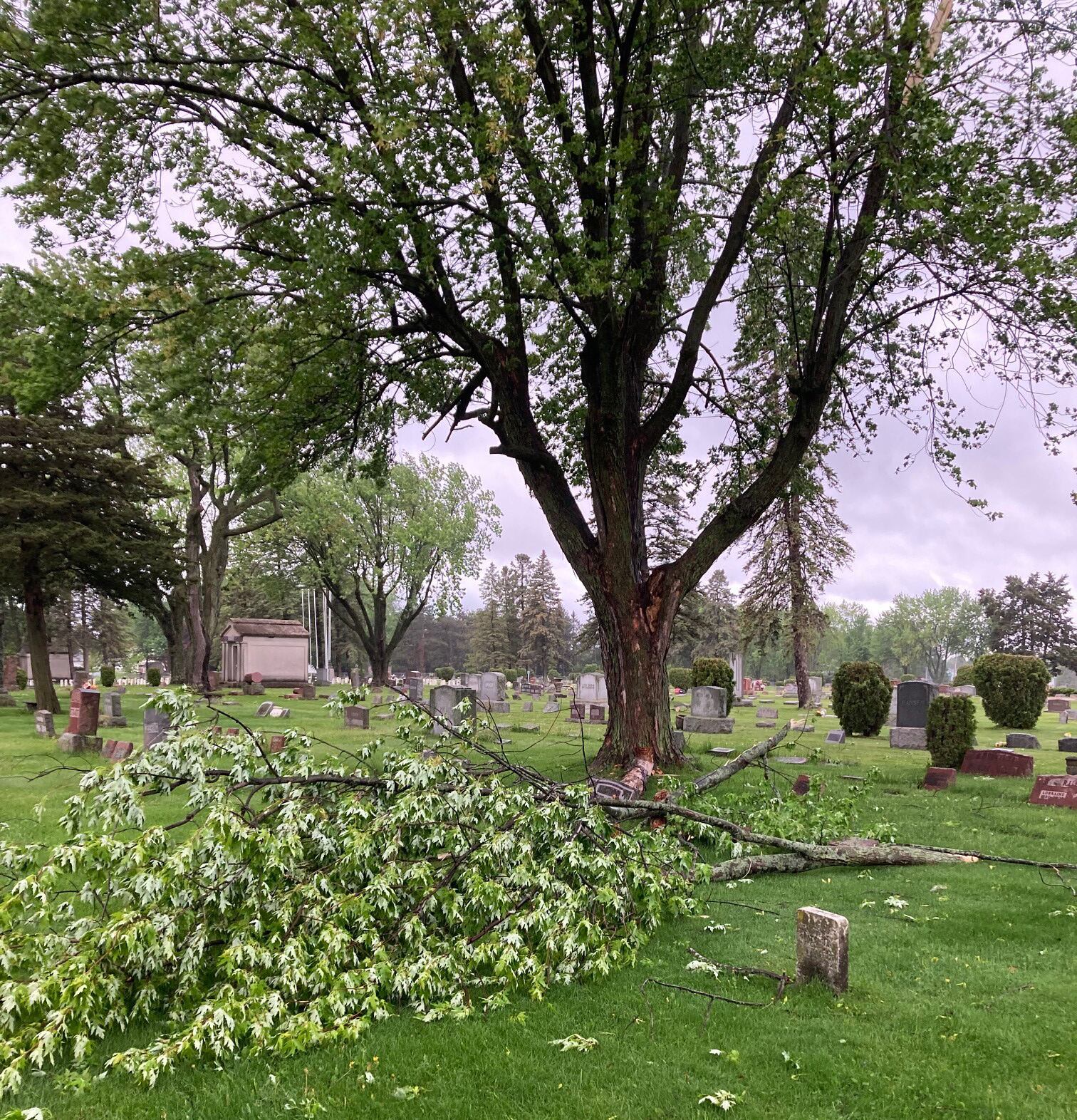 Marshfield reports heavy storm damage at Hillside Cemetery - Vimarsana News