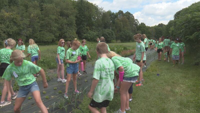 peyton's promise hosts advocate training in the community garden