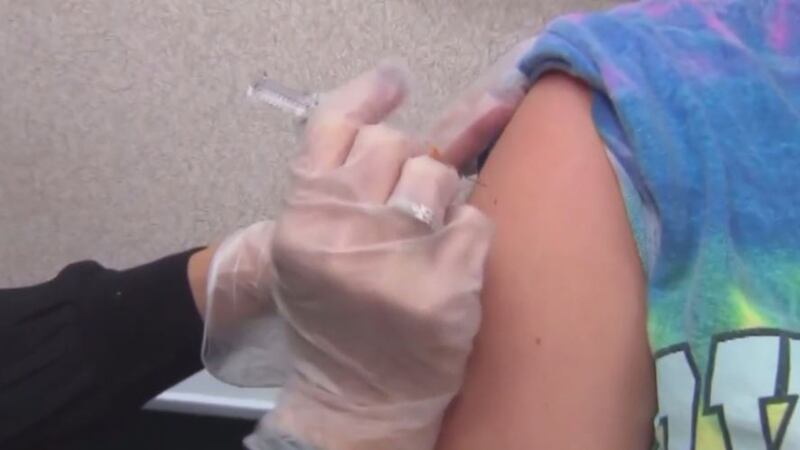 Doctors say kids beginning at 6 months old should get vaccinated for the flu every year.