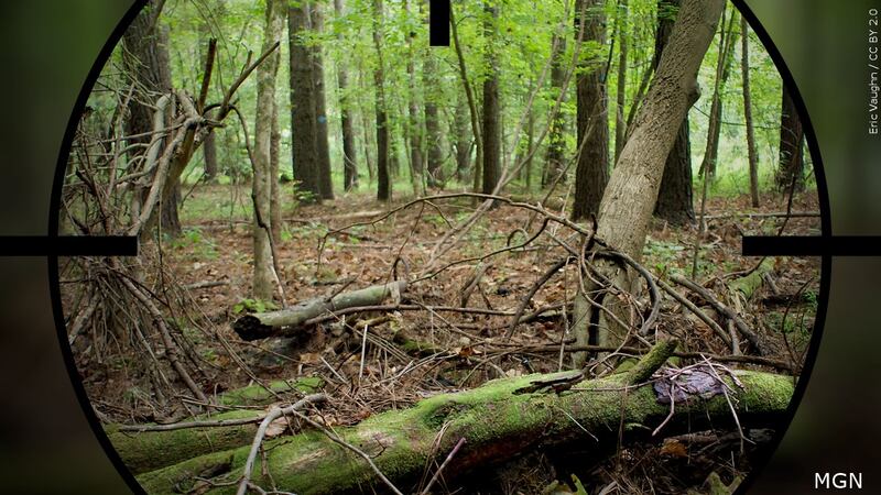 DNR said the boy and the man were members of the same hunting party.