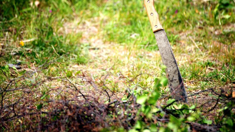 Armed with a machete, a Texas homeowner woke up and went outside after hearing glass breaking....